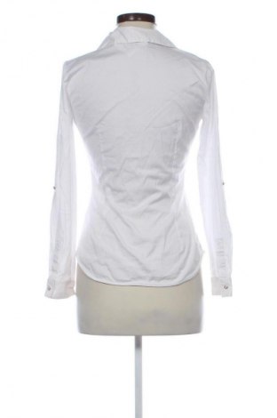 Damen Shirt Zara, Größe M, Farbe Weiß, Preis 16,41 €