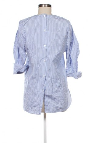 Damen Shirt Zara, Größe M, Farbe Mehrfarbig, Preis 13,81 €
