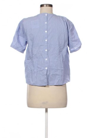 Damen Shirt Zara, Größe S, Farbe Mehrfarbig, Preis 11,99 €