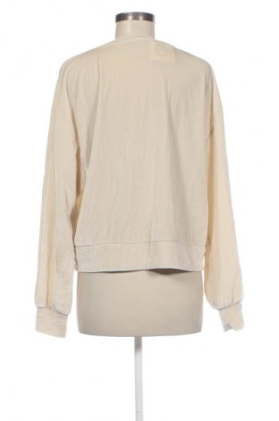 Damen Shirt Zara, Größe L, Farbe Ecru, Preis 14,99 €
