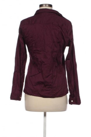 Damenbluse Annabelle, Größe L, Farbe Lila, Preis € 8,99