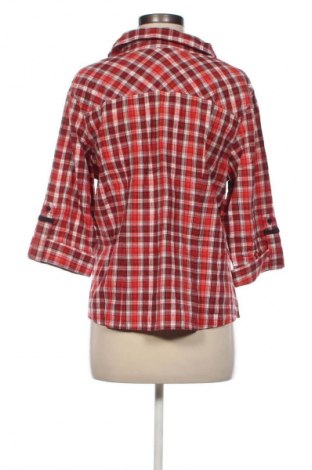 Damenbluse Biaggini, Größe L, Farbe Mehrfarbig, Preis 12,83 €