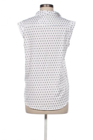 Dámska košeľa  Calliope, Veľkosť L, Farba Viacfarebná, Cena  12,95 €