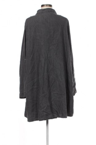 Damenbluse Janina, Größe 3XL, Farbe Grau, Preis € 12,79