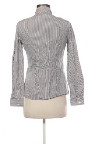 Дамска риза Massimo Dutti, Размер M, Цвят Многоцветен, Цена 54,74 лв.