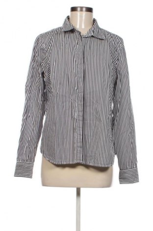 Damenbluse Sinsay, Größe XL, Farbe Mehrfarbig, Preis € 12,79
