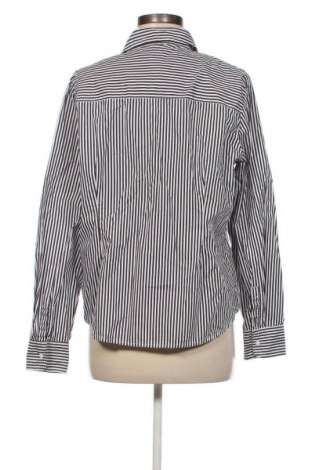 Damenbluse Sinsay, Größe XL, Farbe Mehrfarbig, Preis € 12,79