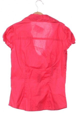 Damenbluse Terranova, Größe XS, Farbe Rosa, Preis 12,79 €