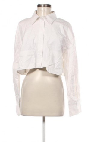 Damenbluse Zara, Größe L, Farbe Weiß, Preis € 20,99