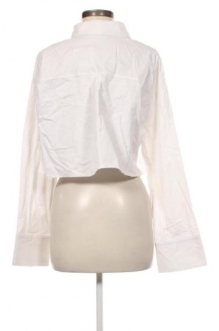 Damenbluse Zara, Größe L, Farbe Weiß, Preis € 20,99