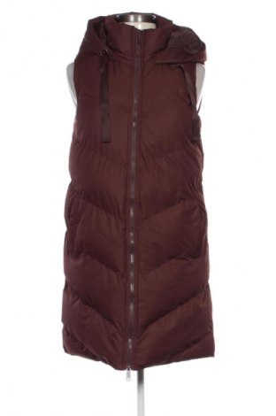 Damska kamizelka Threadbare, Rozmiar XS, Kolor Brązowy, Cena 202,99 zł