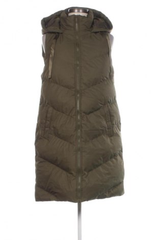 Damenweste Threadbare, Größe M, Farbe Grün, Preis 53,99 €