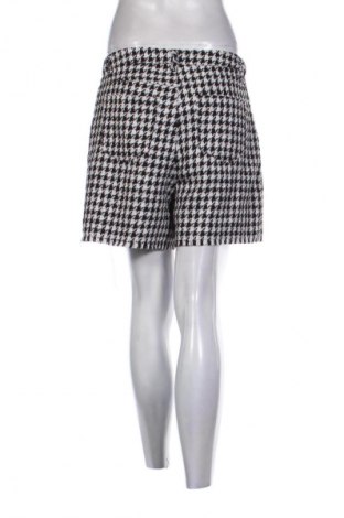 Damen Shorts Steve Madden, Größe M, Farbe Mehrfarbig, Preis € 25,00