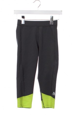 Dámské legíny  Adidas, Velikost XS, Barva Šedá, Cena  430,00 Kč