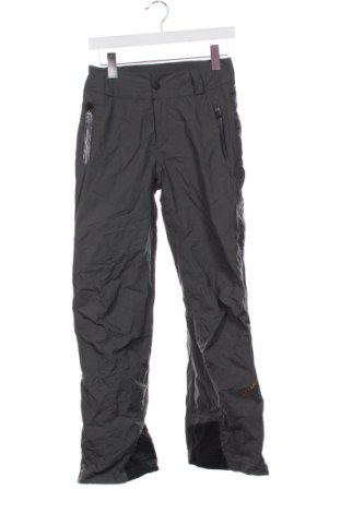 Damenhose für Wintersport Columbia, Größe XS, Farbe Grau, Preis € 59,99