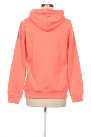 Damen Sweatshirt Gaastra, Größe XL, Farbe Mehrfarbig, Preis 40,99 €