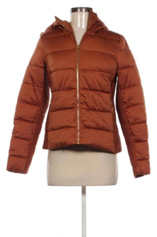 Damenjacke Body Flirt, Größe XS, Farbe Braun, Preis € 36,99