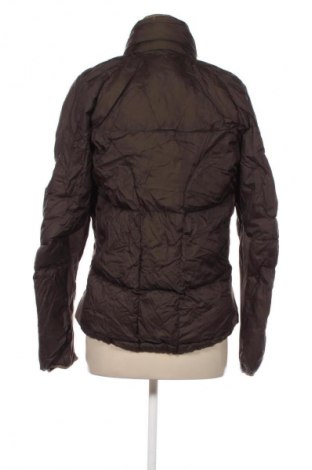 Dámská bunda  Dolomite, Velikost L, Barva Hnědá, Cena  609,00 Kč