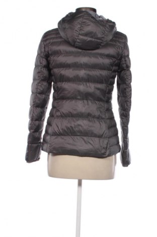 Damenjacke Esprit, Größe S, Farbe Grau, Preis € 47,99