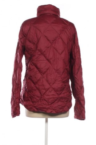 Damenjacke Hampton Republic, Größe L, Farbe Mehrfarbig, Preis € 23,99