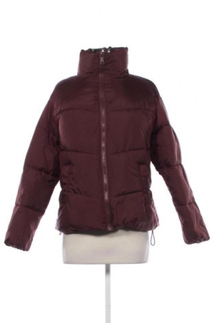 Damenjacke New Look, Größe XS, Farbe Braun, Preis 31,99 €