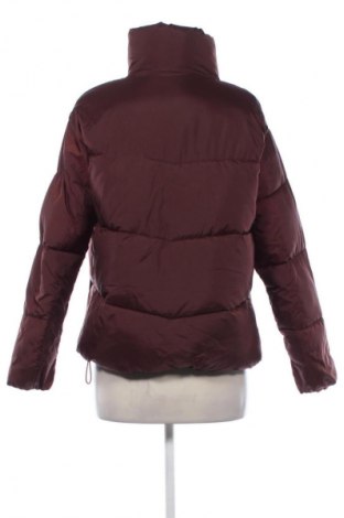 Damenjacke New Look, Größe XS, Farbe Braun, Preis 31,99 €