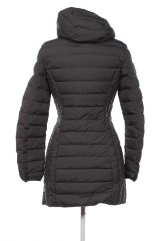 Dámska bunda  Parajumpers, Veľkosť XS, Farba Sivá, Cena  179,95 €