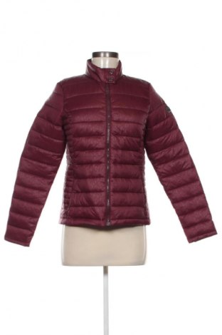 Damenjacke Regatta, Größe XS, Farbe Rot, Preis € 94,27