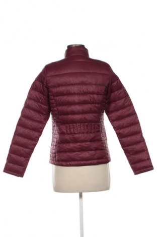 Damenjacke Regatta, Größe XS, Farbe Rot, Preis € 94,27