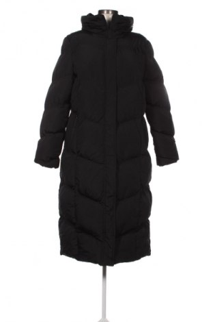 Damenjacke Threadbare, Größe M, Farbe Schwarz, Preis € 64,99