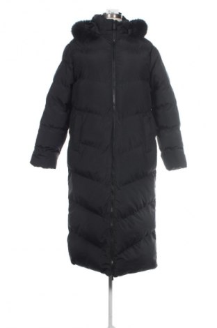 Damenjacke Threadbare, Größe M, Farbe Schwarz, Preis € 64,99