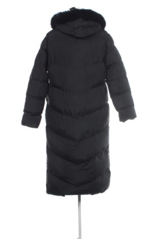 Damenjacke Threadbare, Größe M, Farbe Schwarz, Preis € 64,99