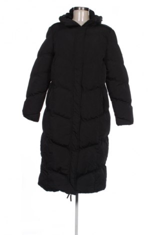 Damenjacke Threadbare, Größe M, Farbe Schwarz, Preis € 64,99