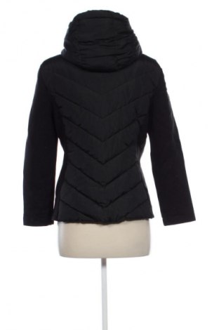 Damenjacke Zara, Größe XL, Farbe Schwarz, Preis 32,99 €