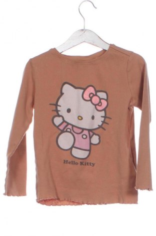 Dětská halenka  Hello Kitty, Velikost 6-7y/ 122-128 cm, Barva Hnědá, Cena  109,00 Kč