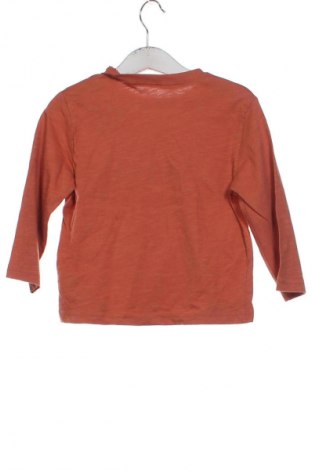 Detská blúzka  LC Waikiki, Veľkosť 18-24m/ 86-98 cm, Farba Viacfarebná, Cena  6,14 €
