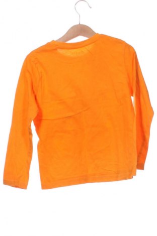 Bluză pentru copii Lupilu, Mărime 4-5y/ 110-116 cm, Culoare Portocaliu, Preț 30,00 Lei