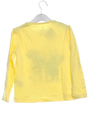 Kinder Shirt Lupilu, Größe 4-5y/ 110-116 cm, Farbe Gelb, Preis € 5,83
