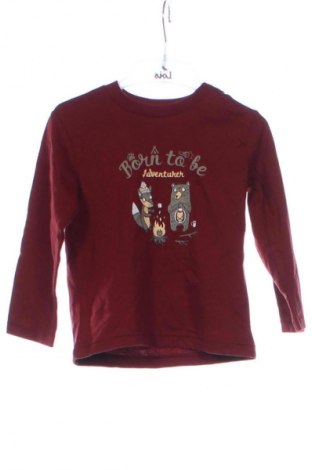 Kinder Shirt Naturaline, Größe 12-18m/ 80-86 cm, Farbe Rot, Preis € 11,99