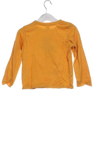Dětská halenka  Tex, Velikost 2-3y/ 98-104 cm, Barva Oranžová, Cena  99,00 Kč