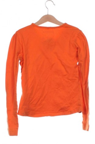 Kinder Shirt Yannick, Größe 8-9y/ 134-140 cm, Farbe Orange, Preis 5,83 €