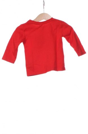 Detská blúzka  Zara, Veľkosť 3-6m/ 62-68 cm, Farba Červená, Cena  7,15 €