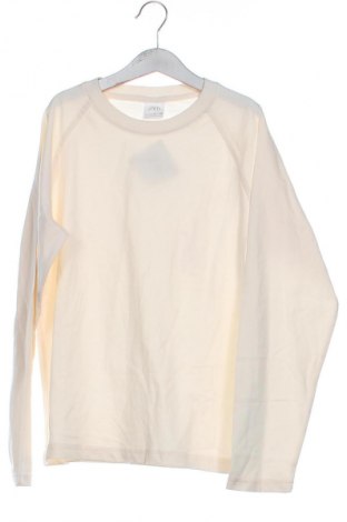 Detská blúzka  Zara, Veľkosť 10-11y/ 146-152 cm, Farba Kremová, Cena  7,19 €