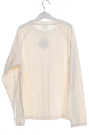 Detská blúzka  Zara, Veľkosť 10-11y/ 146-152 cm, Farba Kremová, Cena  7,19 €
