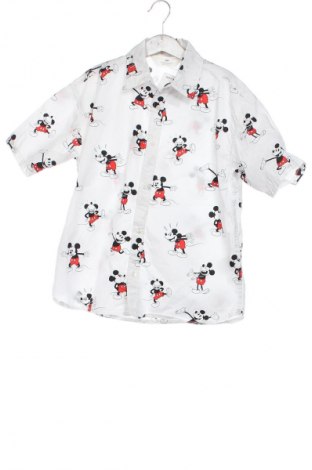 Detská košeľa  H&M, Veľkosť 8-9y/ 134-140 cm, Farba Viacfarebná, Cena  5,83 €