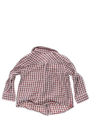Kinderhemd Unbranded, Größe 6-9m/ 68-74 cm, Farbe Mehrfarbig, Preis € 6,00