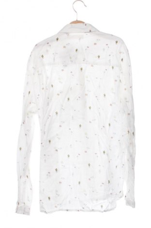 Dětská košile  Zara, Velikost 12-13y/ 158-164 cm, Barva Vícebarevné, Cena  178,00 Kč