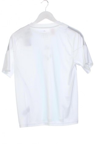Kinder T-Shirt Adidas, Größe 12-13y/ 158-164 cm, Farbe Weiß, Preis € 38,99