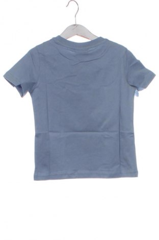 Dziecięcy T-shirt Coccodrillo, Rozmiar 2-3y/ 98-104 cm, Kolor Kolorowy, Cena 36,78 zł