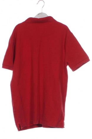 Παιδικό μπλουζάκι Zara, Μέγεθος 10-11y/ 146-152 εκ., Χρώμα Κόκκινο, Τιμή 6,99 €